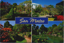 San Mateo CA Japanese Tea Garden Central Park Ponds Flowers picture