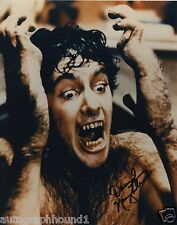 DAVID NAUGHTON SIGNED AUTOGRAPHED PHOTO AMERICAN WEREWOLF IN LONDON picture