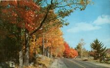 Postcard - Greetings from Greeley, Pennsylvania Autumn Scene Posted 1963  2247 picture