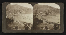 Bird's eye view of Avalon Bay, Catalina Island, California Old Photo picture