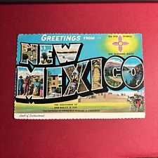 Greetings From New Mexico Land of Enchantment Unposted Vintage Souvenir Postcard picture