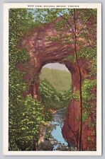 Natural Bridge Virginia, West View, Vintage Postcard picture