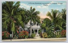Postcard A Private Residence Surrounded By Tropical Foliage Florida picture
