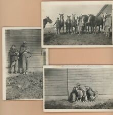 Great Lot Personal Photo Postcards Farm Life Way Back in The 30's RPPC picture