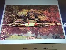 1964 Duke University Gardens Postcard Durham Nc picture
