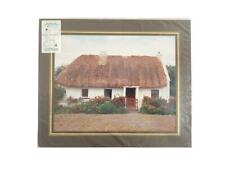 Vintage Enlarged Color Print of Galway Cottage Ireland Flynns Matted Sealed picture