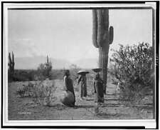 Saguaro fruit gatherers,Maricopa,Arizona,AZ,cactus plant,women with baskets,1907 picture