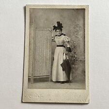 Antique Cabinet Card Photograph Beautiful Fashionable Woman Hawkinsville NY picture