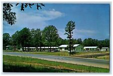c1950's View Of Circle Drive Motel Osage Beach Missouri MO Vintage Postcard picture