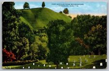 VIckburg Mississippi Fort Nogales Indian Mound Scenic Landmark DB Postcard picture