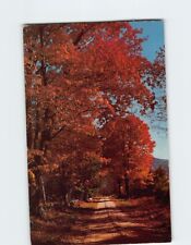 Postcard Beautiful Autumn Road Scene picture