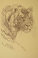 Royal Bengal Tiger Art Print #19 Stephen Kline WORD DRAWING A Great Big Cat Gift picture