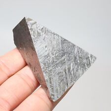 100g  Muonionalusta meteorite part slice C7197 picture