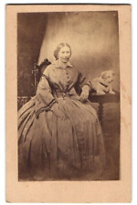 Rare Antique CDV Photograph of Victorian Lady with her Little Dog c.1870s picture