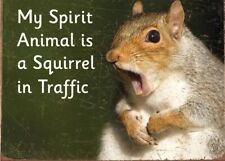 “My Spirit Animal Is A Squirrel In Traffic”~Tin/Metal Sign~Funny~FREE SHIPPING picture