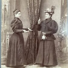 Antique 1880s 1890s Albumen Cabinet Card Women Debating, Women's Suffrage? picture