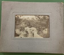 CDV 19th Century Outdoor Family Dog Antique Photograph picture