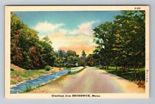 Brunswick ME-Maine, Scenic Greetings, Vintage Postcard picture