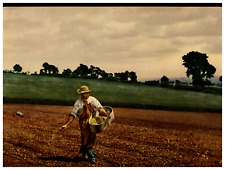 The Sower. Vintage photochrome by P.Z, photochrome Zurich photochromy, vintage  picture