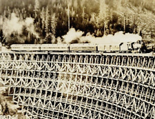 Rare c1927 Postcard West Fork Canyon Pooley Creek Bridge British Columbia Canada picture
