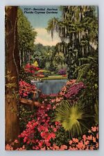Cypress Gardens FL-Florida, Beautiful Azaleas, Antique, Vintage c1953 Postcard picture