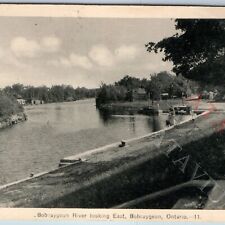 c1950s Bobcaygeon, Ontario PC Bobcaygeon River looking East Yacht Boat Ship A192 picture