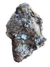 Quartz With Mica Specimen. Rocks Crystals Gemstones Minerals picture