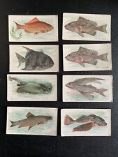 Lot of (8) RARE 1910 Piedmont Cigarette Fish Series Tobacco Cards - picture