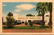 Linen Postcard Morgan City Tourist Court in Morgan City, Louisiana picture