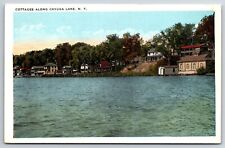 Cottages Along Cayuga Lake New York NY Vintage TICHNOR Postcard picture