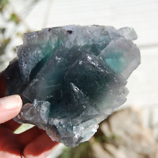 1.5lb XL Raw Bicolor Fluorite Crystal Cluster, Teal Cubic Fluorite picture