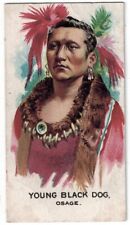 British American Tobacco (BAT) INDIAN CHIEFS  #17 YOUNG BLACK DOG--VG/EX Cond picture