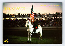 Patriotic Cowboy Volunteer State Tennessee Unused Vintage 4x6 Postcard OLP1 picture
