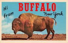 Buffalo New York NY Greetings Hi From Larger Not Large Letter Chrome 3DK-1298 PC picture