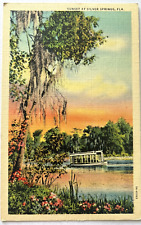 Sunset At Silver Springs Florida FL c1939 VTG Linen Postcard Glass Bottom Boat picture