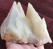 1086 gm Top Quality Two Large Dog Tooth Calcite at one specimen terminated PC picture