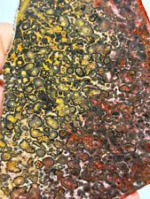 Large Orbicular Leopard Skin Jasper Slab Lapidary Cabbing Combo Ship Avail picture