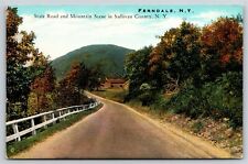 Ferndale New York~State Road & Mtn Scene In Sullivan County~Vintage Postcard picture