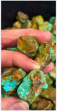 Phoenix Rising & Turquoise Mountain Exotic Mix. 1 Pound. Almost Gone. picture