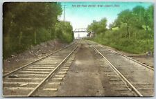 The Big Four Bridge, view from Railroad Tracks, West Liberty, Ohio - Postcard picture
