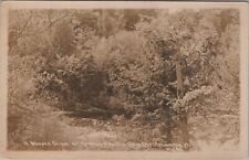 East Arlington, VT: RPPC Wooded Glade, Branch Camp, Vermont Real Photo Postcard picture