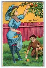 1911 Boy Peeping Woman Harvesting Peaches Embossed New York NY Antique Postcard picture
