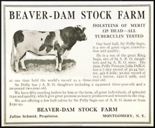 1915 Beaver-Dam Stock Farm Holstein Bull Cow Sir Prilly Segis Antique Vtg AD picture