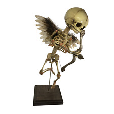 Vintage Cupid Skeleton Fetus Angel Oddity Valentine's Day Medical Model Gaff OS picture