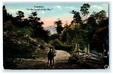 Freedom In the Land of the Sky Horse Pastoral Photochrom Vintage Postcard picture