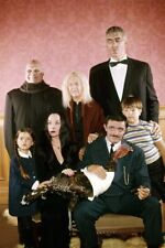 THE ADDAMS FAMILY (1964) 24x36 inch Poster JOHN ASTIN LURCH AND CAST TV CULT picture