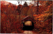 Postcard BRIDGE SCENE Townshend Vermont VT AL5648 picture