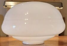 Huge Glass Lamp Shade 6 Inch Fitter 16