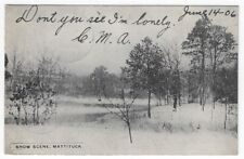 Vintage Postcard Snow Scene at Mattituck, New York, 1906 picture