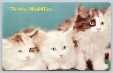 Postcard Three Muscateers Kittens Cat picture